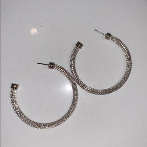 Bebe Hoop earrings
